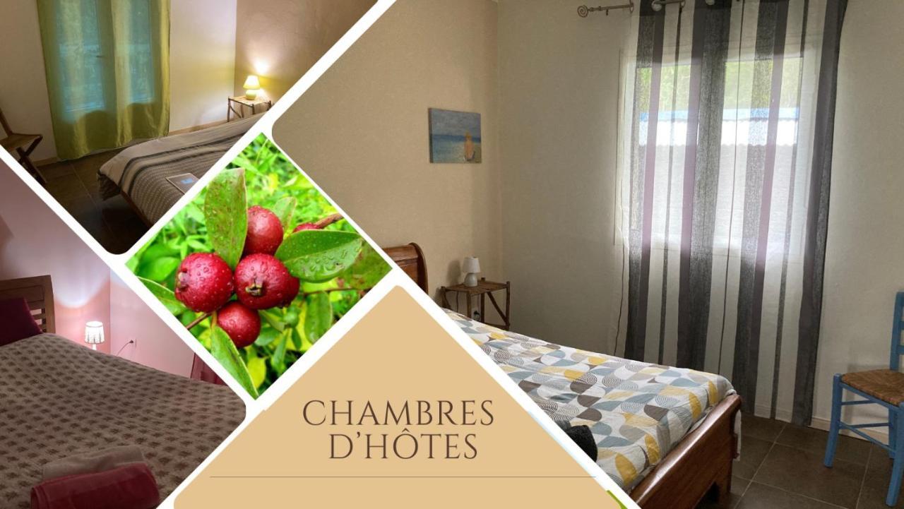 Au Coeur De La Cascade Biberon Bed and Breakfast La Plaine des Palmistes Buitenkant foto